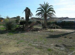 Terreny residencial a Deltebre