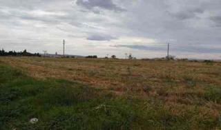 Residential Plot in Centre Vila