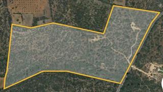 Residential Plot in Llucmajor Interior