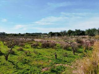 Terreny residencial a Alginet