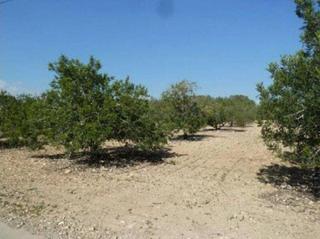 Residential Plot in Torreforta
