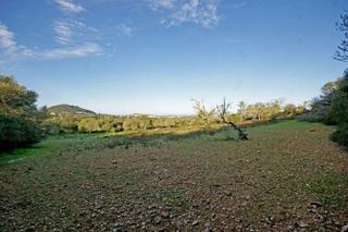 Terreny residencial a Felanitx Poble