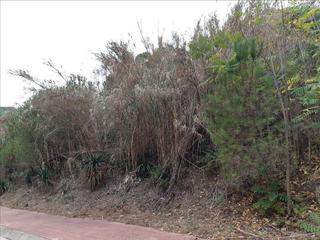 Residential Plot in Zona alta
