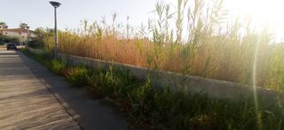 Residential Plot in Port d´Alcúdia-Platja dÁlcúdia