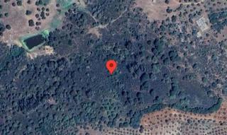 Masia a Paterna del Campo