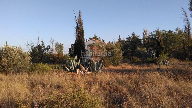 Foto 052e78c0-41a0-4cbf-a5de-c78e78541330. Finca rústica a Peñaflor Zaragoza