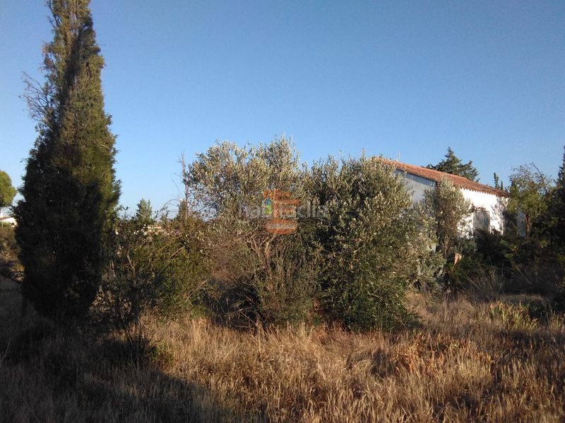 Foto 09a17431-f544-4ac9-b488-2284d90b325d. Finca rústica a Peñaflor Zaragoza