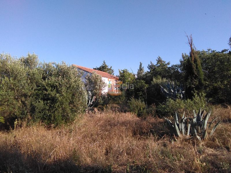 Foto 45e8911a-6703-4598-b85b-15d3e80fd2ac. Finca rústica a Peñaflor Zaragoza