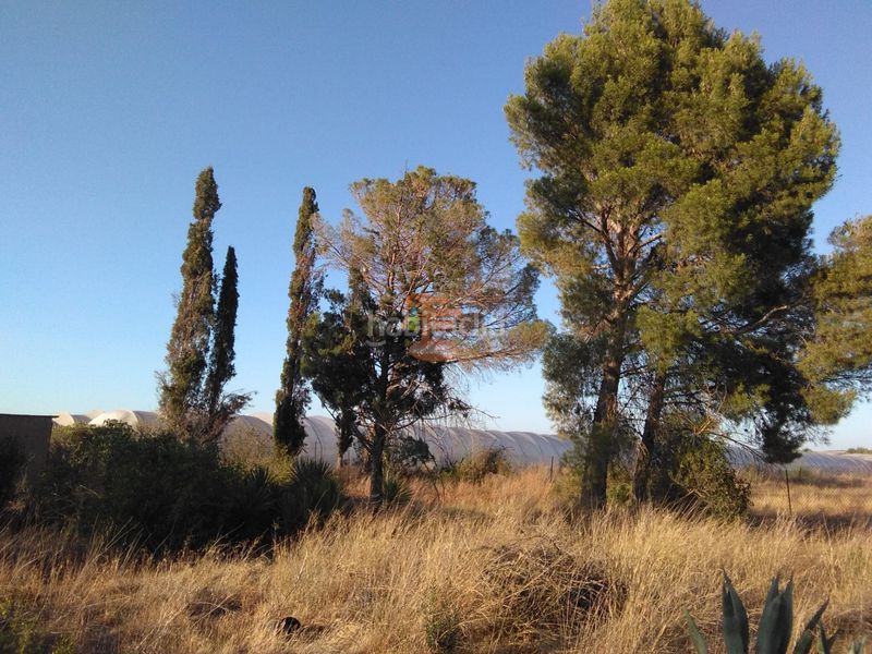 Foto 5090bae5-9d18-477b-ae27-03928a2a2752. Finca rústica a Peñaflor Zaragoza