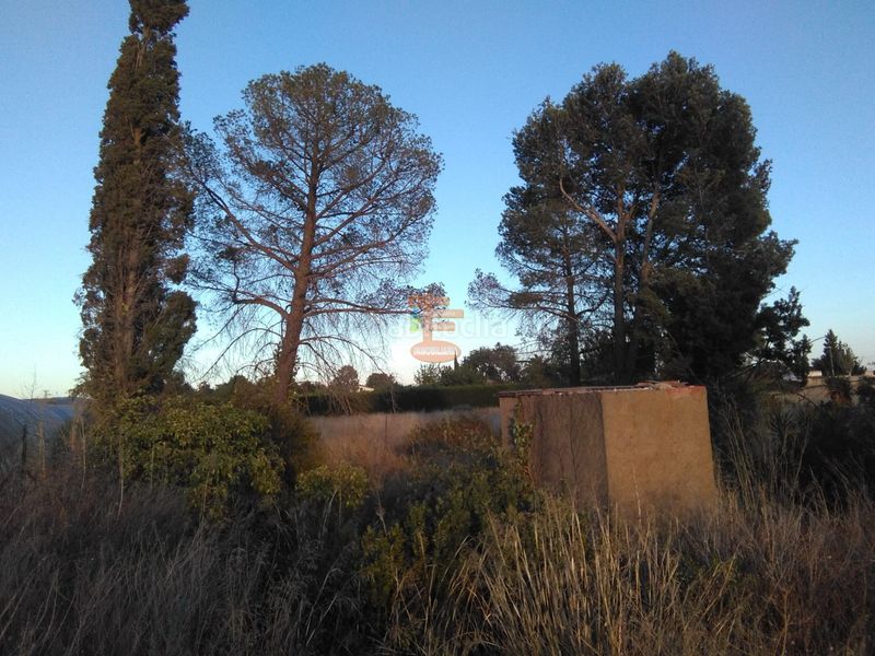 Foto 56af43a7-52f5-4b6e-a0b0-7ce03361640d. Finca rústica a Peñaflor Zaragoza