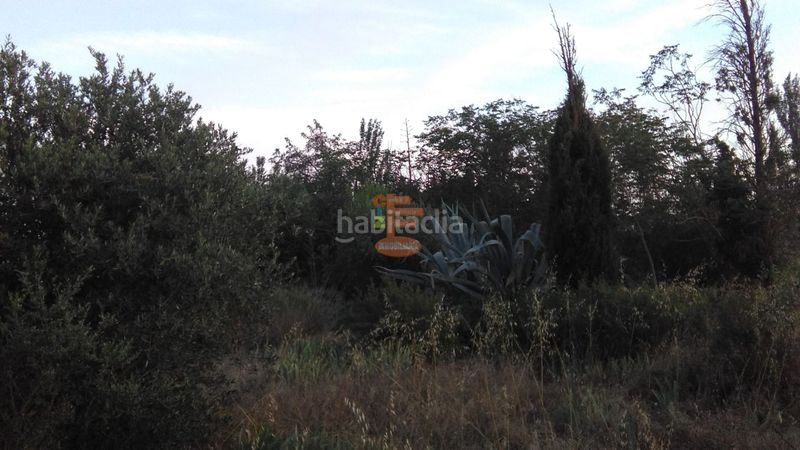 Foto 5b0a73fe-1c58-4dad-9e02-19b1dadc88a9. Finca rústica a Peñaflor Zaragoza