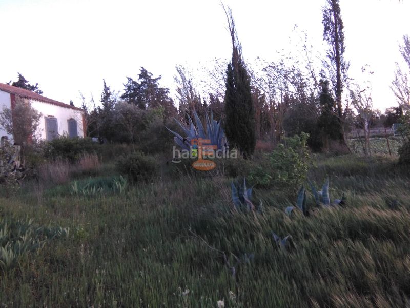 Foto 79285ce4-cb9e-468a-aab1-caab70f97b1a. Finca rústica a Peñaflor Zaragoza