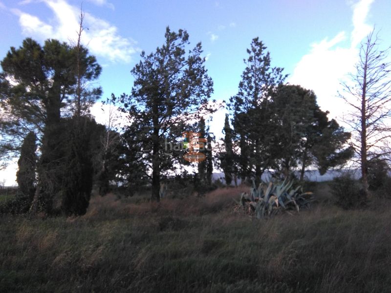 Foto 7bea9a91-cb4d-46ea-ba19-6ad7d2f9e15d. Finca rústica a Peñaflor Zaragoza