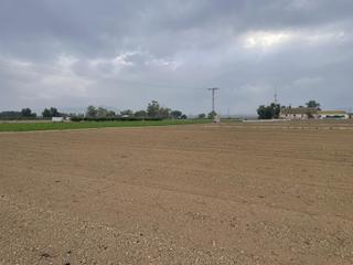 Residential Plot  De bodega. Lorcaterreno