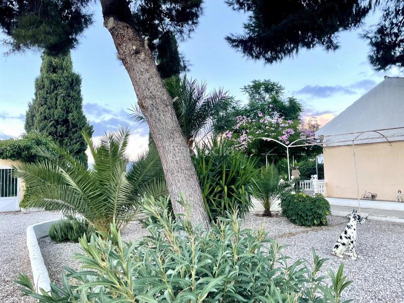 Foto d1613efb-65a7-4919-91b8-83403594087a. Haus mit parking pool in Aguaderas Lorca