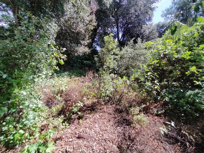 Foto b9aa62e2-a7d1-4ec2-be2e-10dd0fa25287. Terreno residenziale in Can Massuet del Far Dosrius