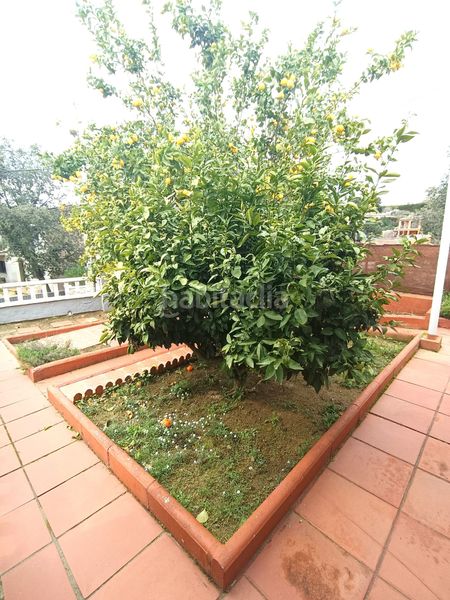 Foto e9684a13-ec45-438a-ab69-0411fa036788. Casa amb calefacció a Can Massuet del Far Dosrius