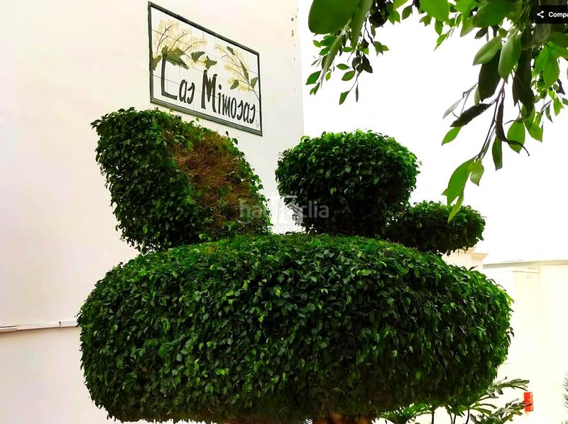 Foto a4861eb6-1d57-4730-bf70-1d9107c31dcd. Casa in baleares 3 in Torviscas Centro y Alto Adeje