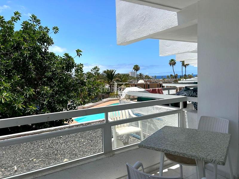 Foto 5ffe2242-2577-4604-b731-4591b79269b5. Estudi a venezuela 1 a Playa de las Américas Adeje