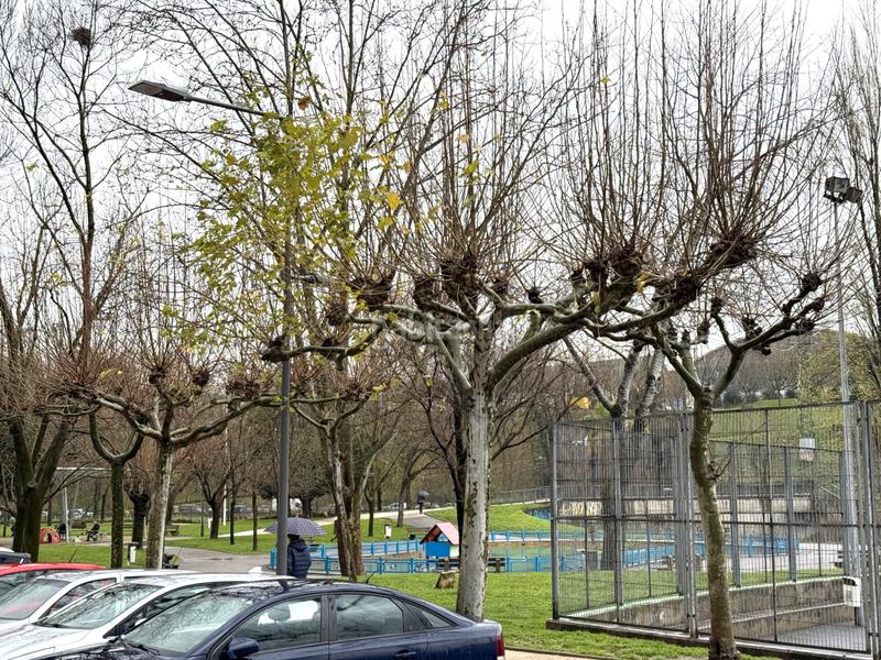 Foto f7a609dc-9641-4878-b939-bd5d9aef6ed1. Piso en menendez y pelaio kalea 11 en Centro-Ariz-Uribarri Basauri