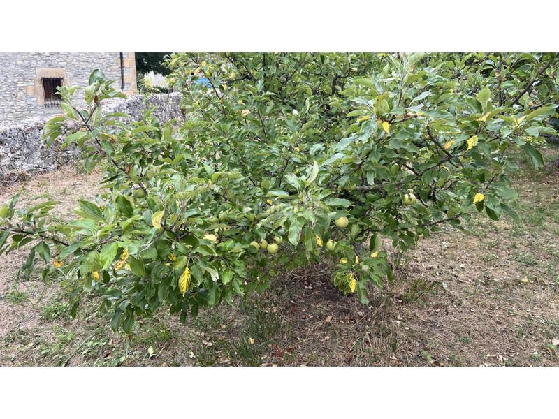 Foto c7739598-a86e-4d27-bbca-2a38c900579d. Casa bifamiliare in real 4 in Merindad de Sotoscueva