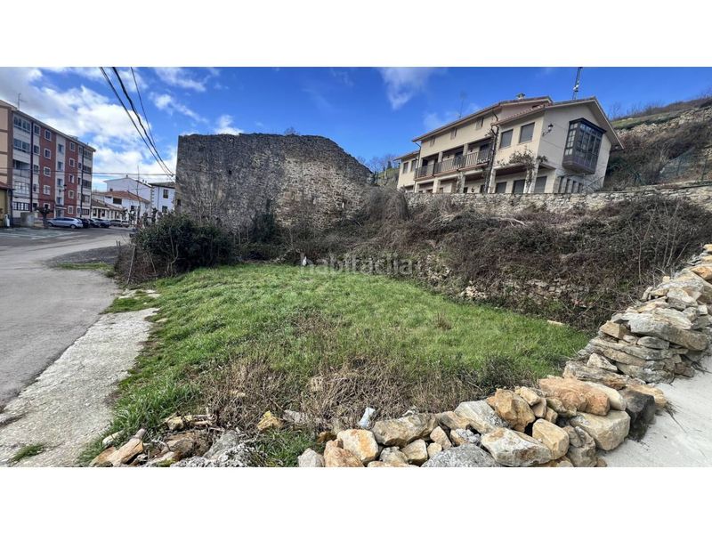 Foto 8f46f04d-12c1-496e-8c00-6ee78021dd46. Finca rústica a calle el pedrero 12 a Espinosa de los Monteros