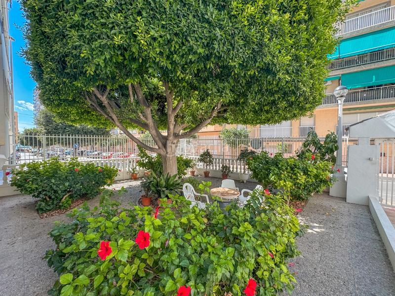 Foto a68d61e9-09e8-4eae-9aea-8fd6bd3d3a00. Lloguer apartament amb piscina a Playa Levante Santa Pola