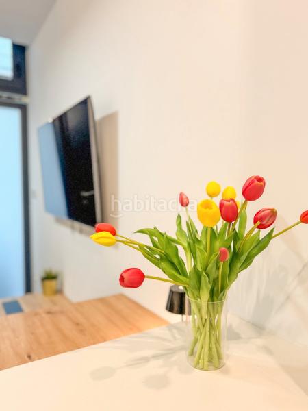 Foto 6acdc404-4351-4d0f-9c1a-9a38fc3e1c38. Location studio avec chauffage dans Centro Elche / Elx