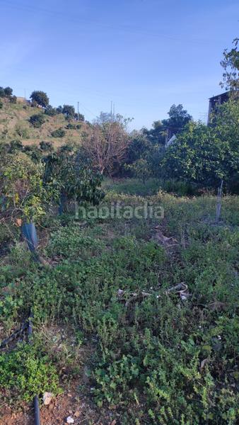 Foto 0a14d15d-3791-4c71-83dd-d92c958b0d06. Finca rústica a Cotobro Almuñécar