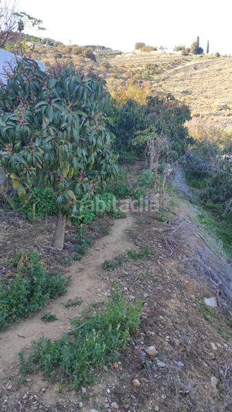 Foto 145f9143-d487-4e55-960d-d7e30117ab9d. Finca rústica a Cotobro Almuñécar