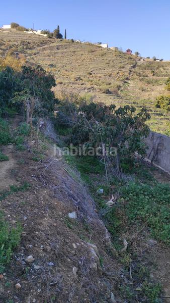 Foto 4b50cd28-4e47-437f-8d85-42a756e76fc3. Finca rústica a Cotobro Almuñécar