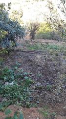 Finca rústica a Cotobro. Terreno en almuñecar