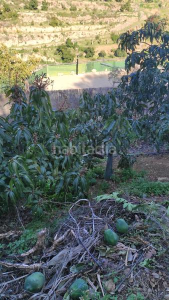 Foto a748f88b-2da2-4fdd-9e2f-a03f17c163f5. Finca rústica a Cotobro Almuñécar