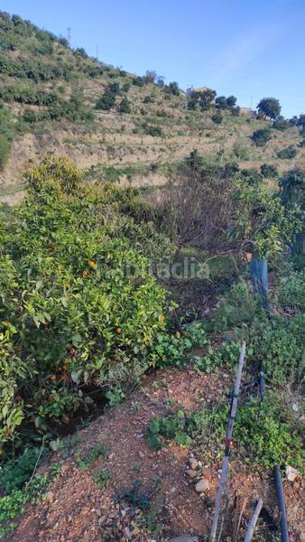 Foto c15dee82-c660-40b4-8826-52d06194a9d1. Finca rústica a Cotobro Almuñécar