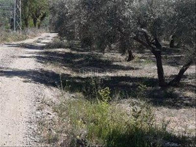 Foto e7e2700e-183d-4c2e-9632-2cb0640d5e2c. Finca rústica a Cehegín