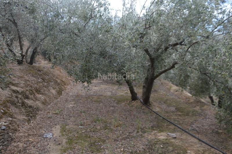 Foto 1cb1d161-ee9a-4e3c-b94b-0dff7a28857c. Finca rústica a Valle (El)