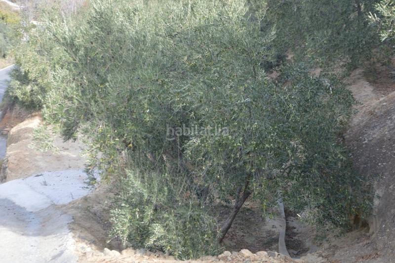 Foto 424eb2da-fe0a-4e43-84cc-9b16b58a9ec3. Finca rústica a Valle (El)