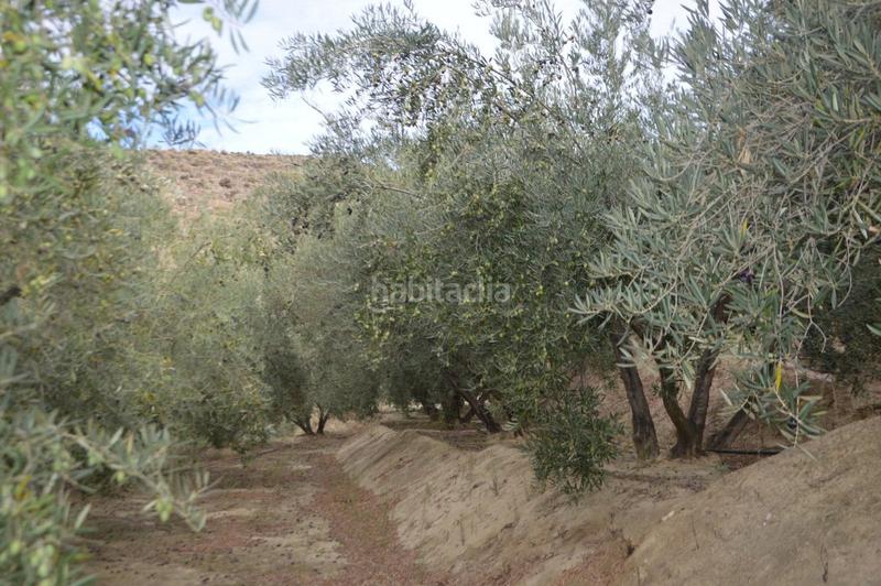 Foto 44e01c03-5cb6-454e-a606-efdcf2982d84. Finca rústica a Valle (El)