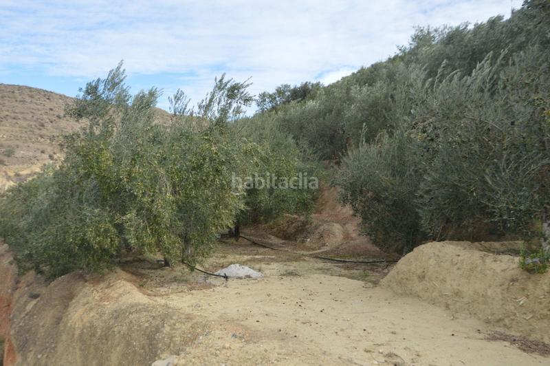 Foto b8bc3a28-f417-4a72-aa8f-a0b2d9a1e822. Finca rústica a Valle (El)