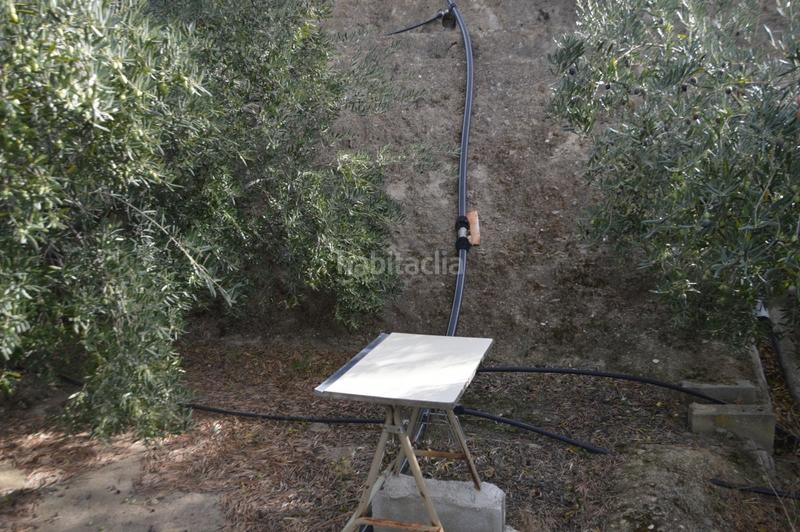 Foto c57a3d45-4c82-485c-a8b7-affdf744be79. Finca rústica a Valle (El)