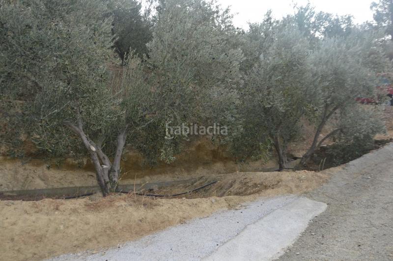 Foto d0d4ae45-42c0-4ee9-9026-c831f730605d. Finca rústica a Valle (El)