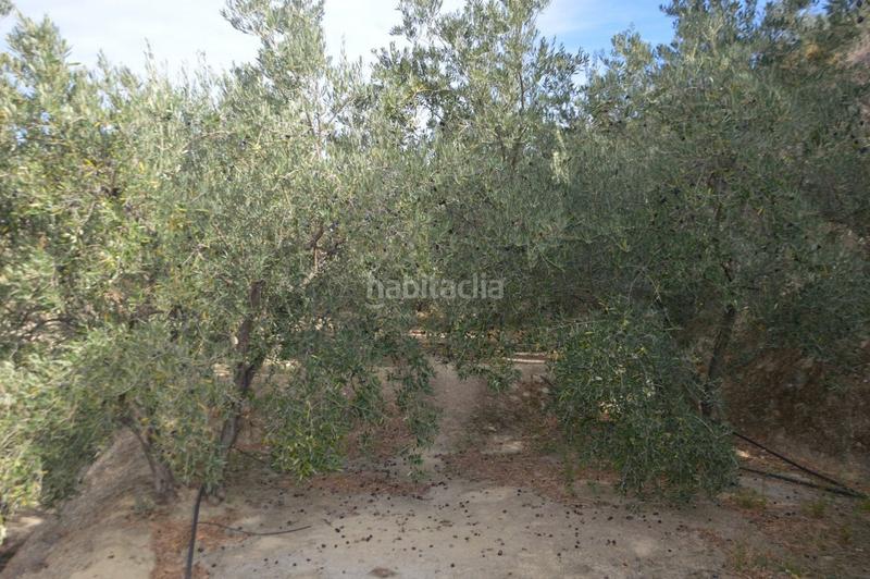 Foto e8585ef7-83a8-423c-8ad5-ed22ed22e81b. Finca rústica a Valle (El)