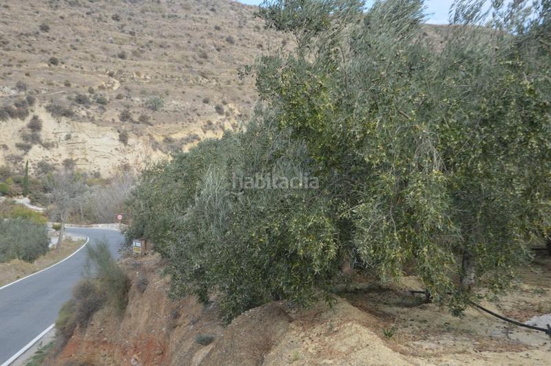 Foto eeb3c34d-9920-4b3f-b9a7-f199b3edde83. Finca rústica a Valle (El)