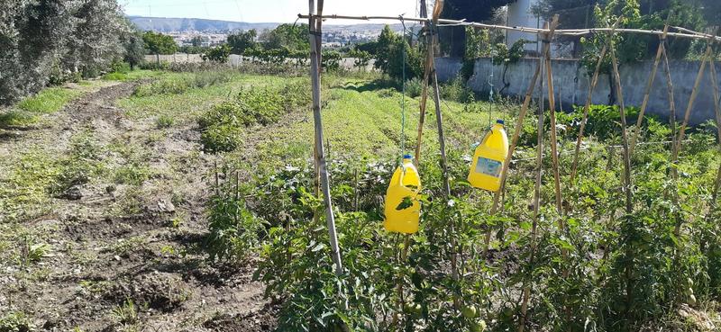 Foto ffe10ace-5045-4978-a32d-9374ec07da9f. Casa en La Zubia Ciudad Zubia (La)