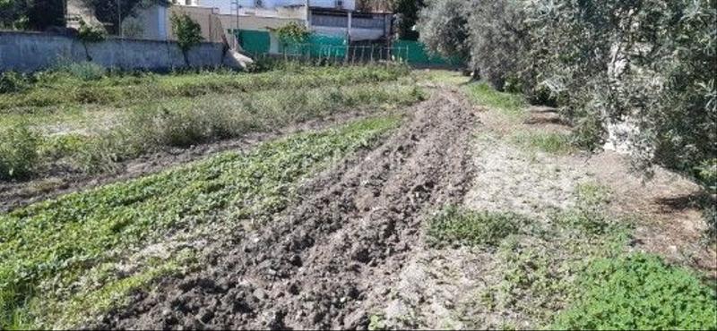 Foto 112b3d4c-e9a3-4691-b743-662c39e20c11. Maison avec parking piscine dans La Zubia Ciudad Zubia (La)