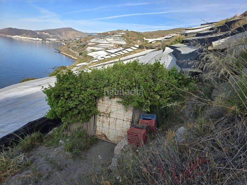 Foto 0da948f9-2e77-4a2e-8342-9e9be091fad2. Finca rústica invernadero en la marina en Rubite