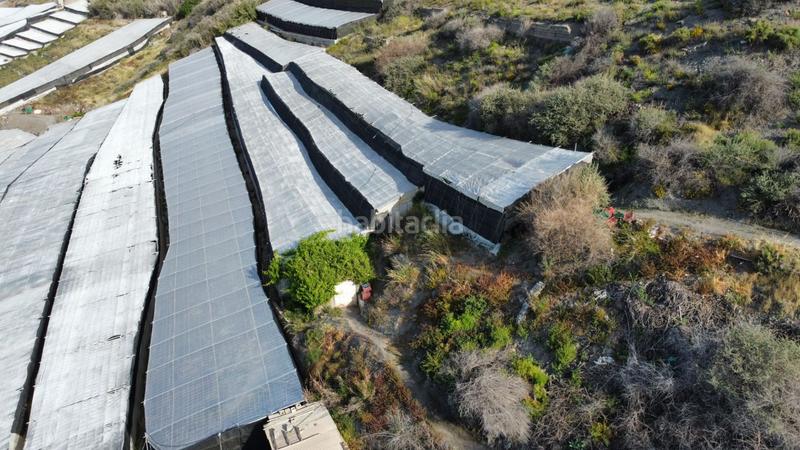 Foto cf2377f3-66c4-4d43-9d99-c744d00dafa7. Finca rústica invernadero en la marina en Rubite