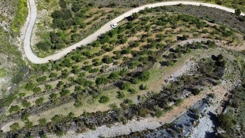 Foto 9b7c1ac6-2c51-4081-90ce-2adcef4a9e73. Landgut in Gualchos