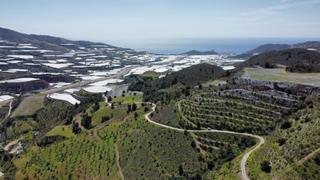 Finca rústica a Gualchos. Finca rustica de almendros en gualchos