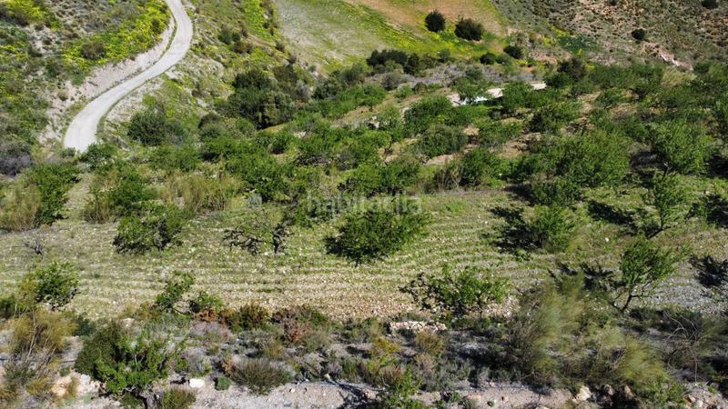 Foto ef293368-8aca-42b6-90c0-f56b1f4489cf. Landgut in Gualchos